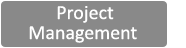 Project management