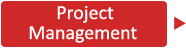 Project management